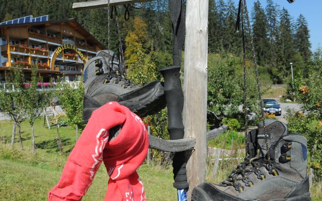 Active days with your dog 5/9