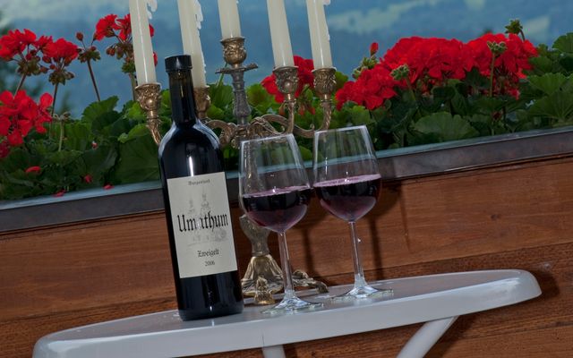 Urlaub für Tesla- & E-Auto-Fahrer 3/4