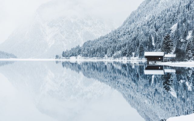 Animal track hike 18/18