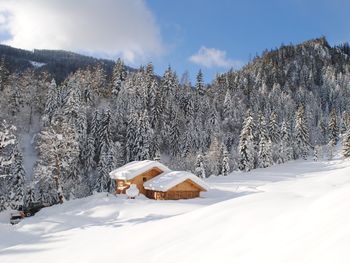 Loimoarhütte - Salzburg - Österreich