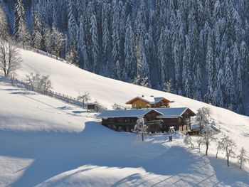 Chalet Naturblick am ZwisleggGut - Salzburg - Österreich