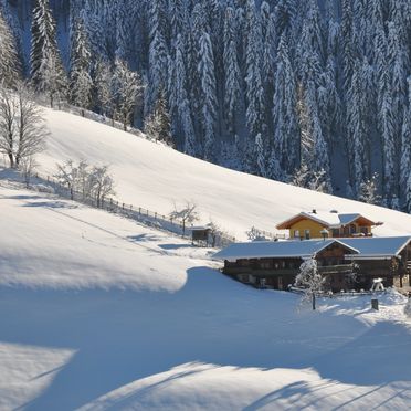 Winter, Chalet Naturblick am ZwisleggGut, Wagrain, Salzburg, Salzburg, Austria
