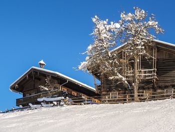 Chalet Naturblick am ZwisleggGut - Salzburg - Österreich