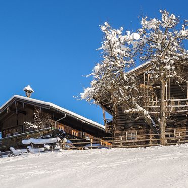 Winter, Chalet Naturblick am ZwisleggGut, Wagrain, Salzburg, Salzburg, Österreich