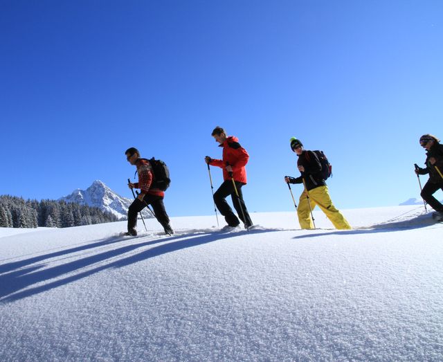 Offer: Snow shoe hiking week - Hotel Lumberger Hof