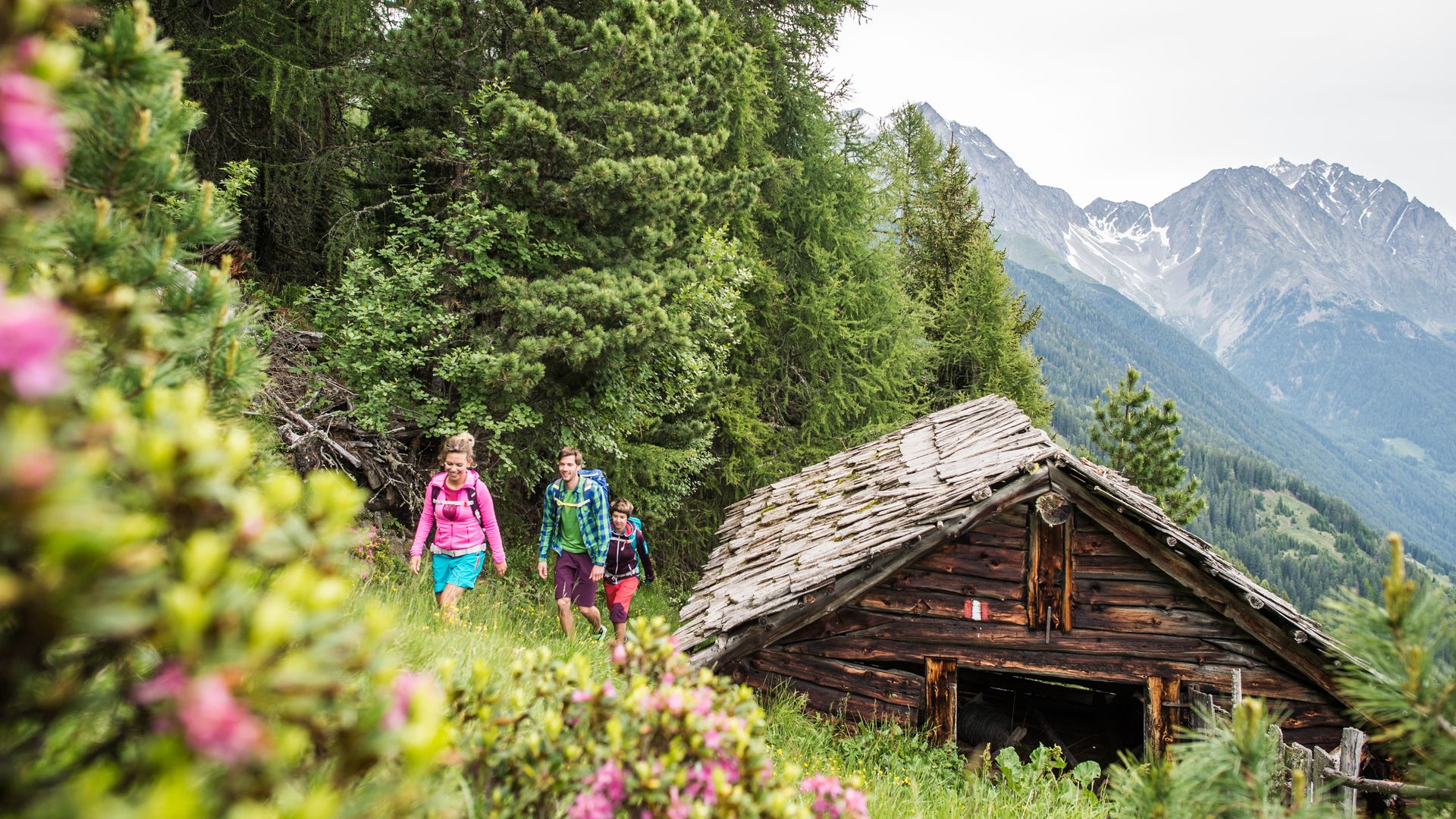 Wander in den Dolomiten
