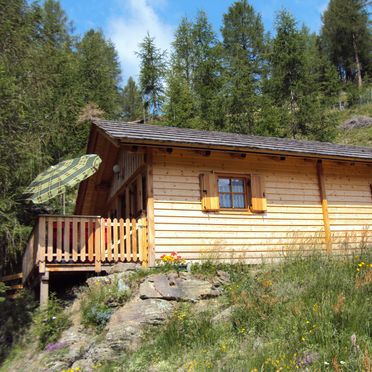 Sommer, Almwiesenhütte, Mörtschach, Kärnten, Kärnten, Österreich