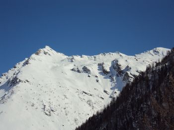 Almwiesenhütte - Kärnten - Österreich