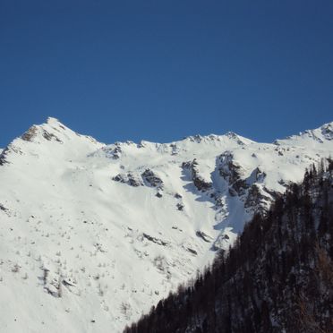Surroundings, Almwiesenhütte, Mörtschach, Kärnten, Carinthia , Austria