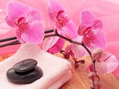 Wellness-Auszeit im Sommer