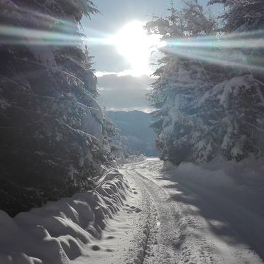 Winter, Neukam Hütte, Bischofshofen, Salzburg, Salzburg, Österreich