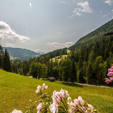 Aussicht, Hütte Höhenegg, St. Martin, Salzburg, Salzburg, Österreich