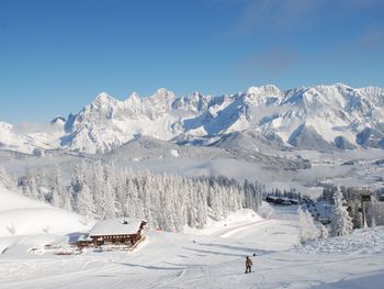 Chalet Dachstein  - Styria  - Austria