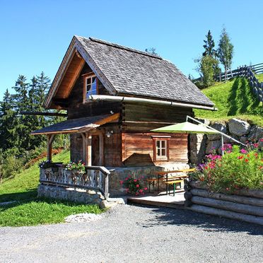 Summer, Oberprenner Troadkostn, Haus im Ennstal, Steiermark, Styria , Austria