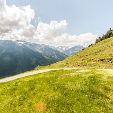 Sommer, Berghütte Kelchsau, Wörgl, Tirol, Tirol, Österreich