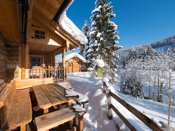 Chalet Steinbock - Salzburg - Österreich