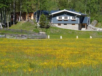 Chalet Schareck - Salzburg - Österreich