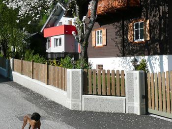 Ferienhaus Almenblick - Carinthia  - Austria