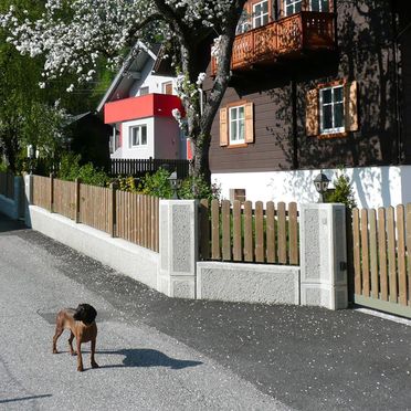 Sommer, Ferienhaus Almenblick, Lind im Drautal, Kärnten, Kärnten, Österreich