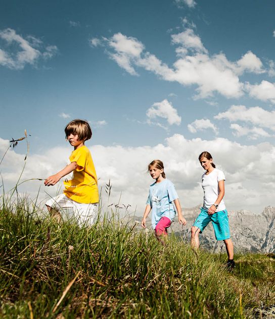 Hauptbild: Sommererwachen - Alpenhotel Kindl