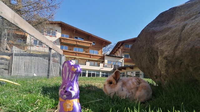 OSTERZEIT in Tirol