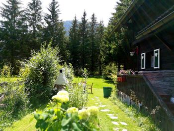 Romantik Hütte - Carinthia  - Austria