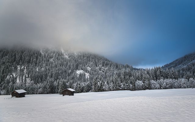 ausblickadlerhorstKLEIN.jpg