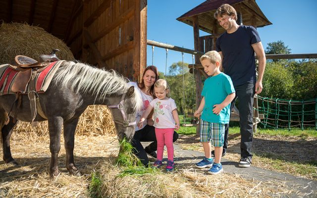 Erlebnisreicher Urlaub für die ganze Familie in Bayern