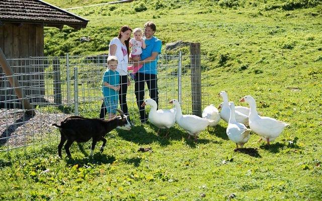 Bauernherbst image 5 - Familotel Bayerischer Wald Schreinerhof