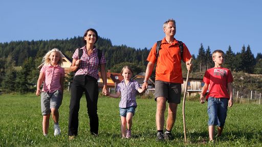Wandern in Kärnten - Ein unvergessliches Erlebnis. Ihre Kinder werden die genussvollen Wanderungen in Kärnten lieben.