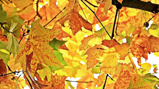 Autumn lights in Garmisch