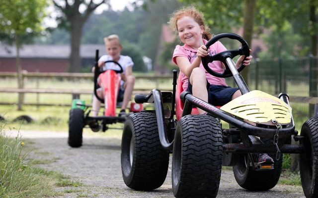 imp_ferienhof-laurenz_kinder-kartfahren.jpg