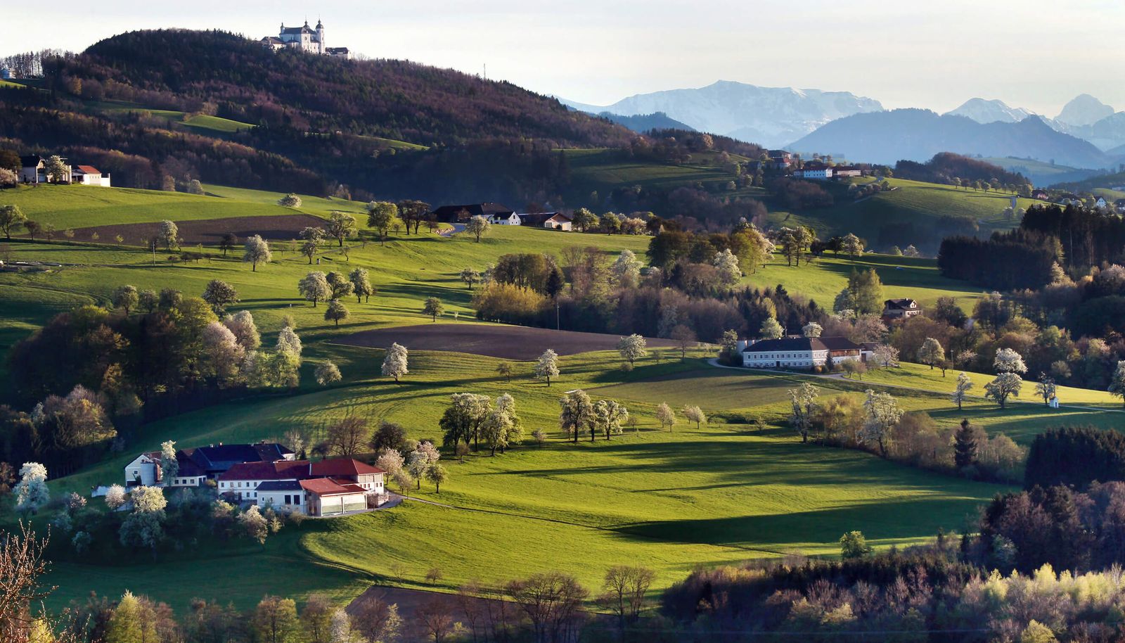 Sonntagberg mit Panorama
