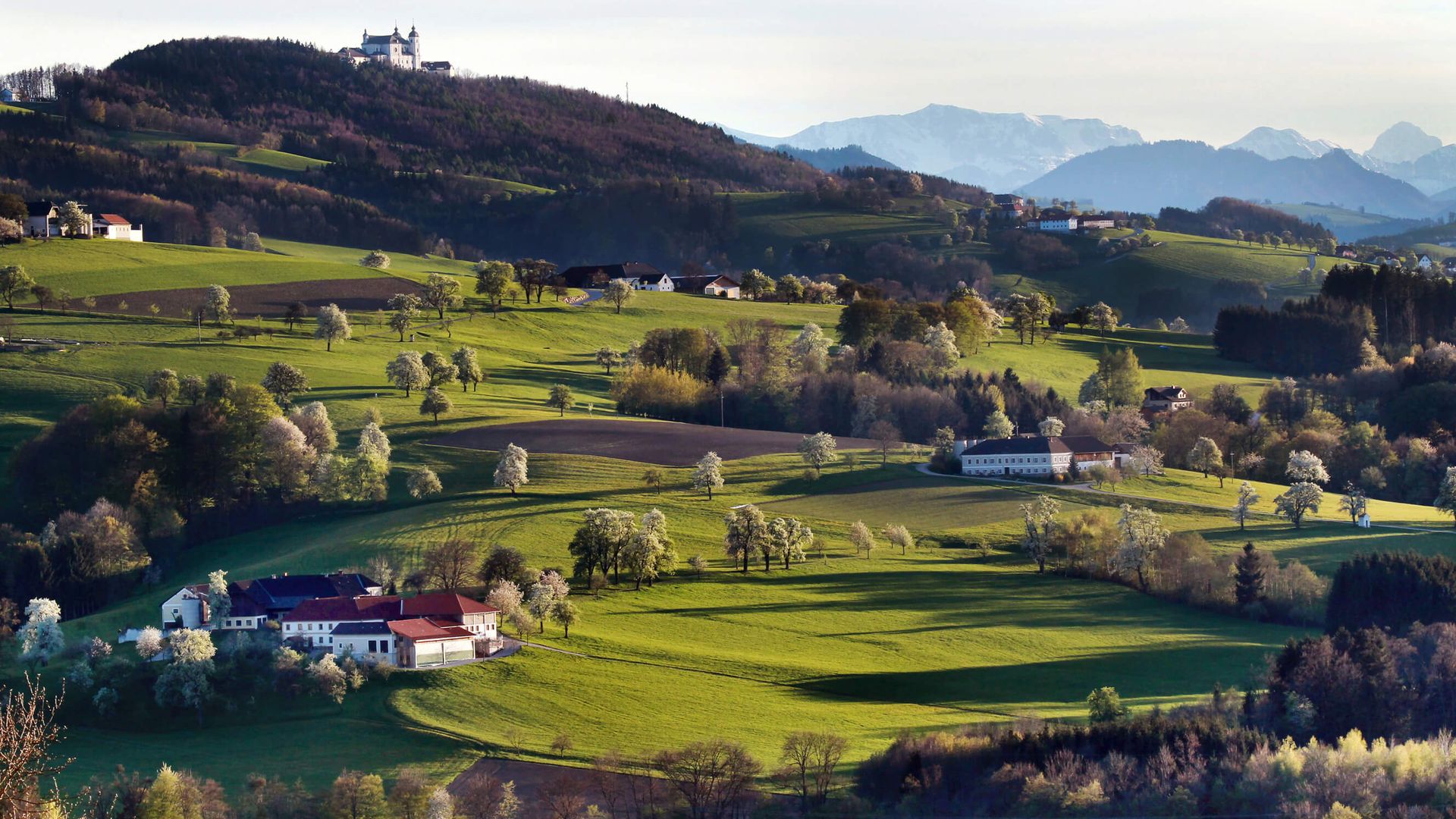 Sonntagberg mit Panorama