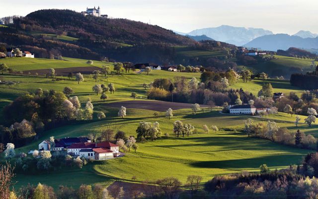 Sonntagberg mit Panorama