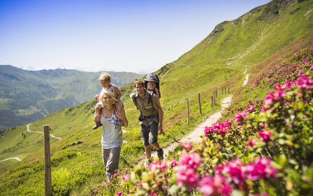 Familotel Saalbach Hinterglemm Wellness- & Familienhotel Egger: Bergfrühling zur Alpenrosenblüte 