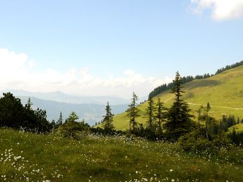 Chalet Brechhorn Premium - Tirol - Österreich