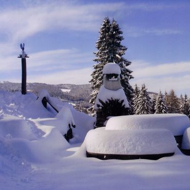 Winter, Gregor Peter Hütte, Preitenegg, Kärnten, Kärnten, Österreich