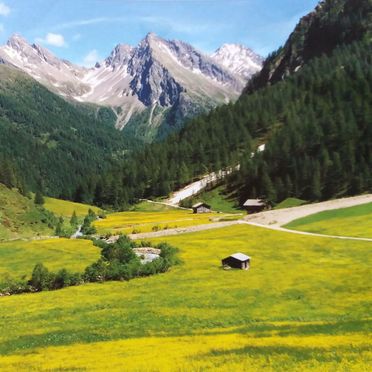 Sommer, Unterkofler Almhütte, Außervillgraten , Tirol, Tirol, Österreich