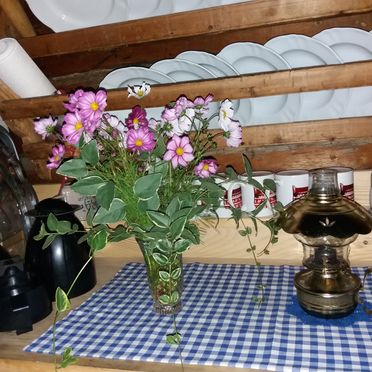 Kitchen, Unterkofler Almhütte, Außervillgraten , Tirol, Tyrol, Austria