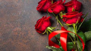 Ein Strauß mit 9 roten Rosen mit Karte - bei Anreise auf dem Zimmer
