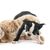 Hunde und andere Haustiere