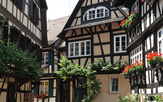 Offer: Savour the Baden region - Hotel Sonne Gengenbach