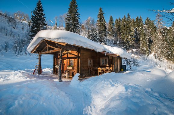 Winter, Meine kleine Alm, Mühlbach am Hochkönig, Salzburg, Salzburg, Austria