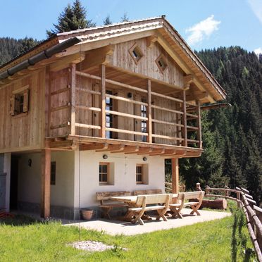 Summer, Costetoi Hütte, San Pietro di Cadore, Südtirol, Trentino-Alto Adige, Italy