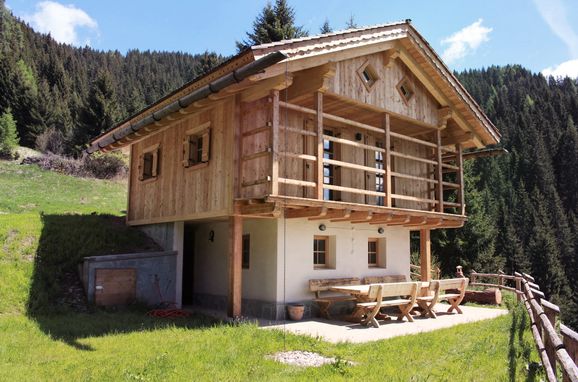 Summer, Costetoi Hütte, San Pietro di Cadore, Südtirol, Trentino-Alto Adige, Italy