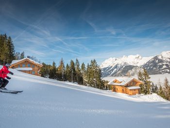 Prenner Alm - Steiermark - Österreich