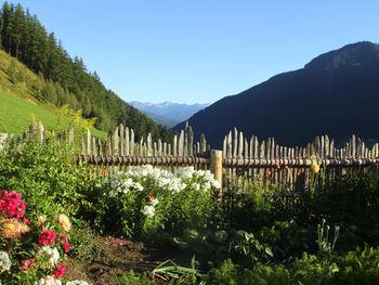 Schauinstal Appartement - Trentino-Alto Adige - Italy