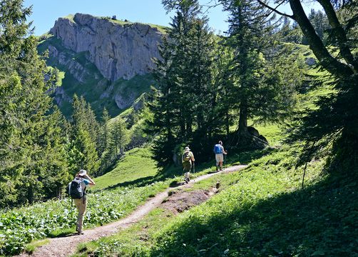 Biohotel Schratt: Naturpark Nagelfluhkette - Berghüs Schratt, Oberstaufen-Steibis, Allgäu, Bayern, Deutschland