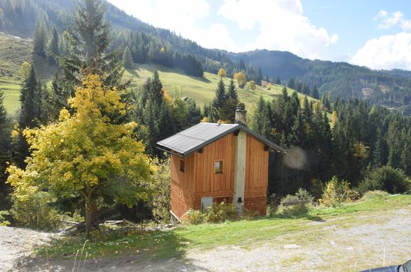 Sommer, Achtchalet, Großarl, Salzburg, Salzburg, Österreich